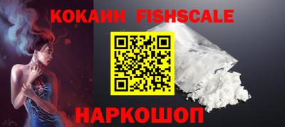соль ск Партизанск