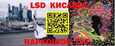 гидропоника Пенза