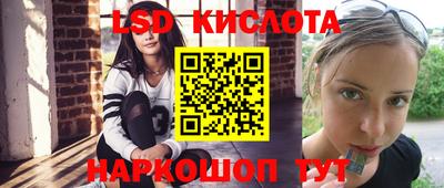 гидропоника Пенза