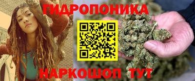 соль ск Партизанск