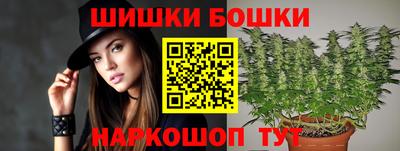 соль ск Партизанск
