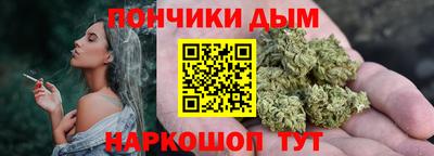 гидропоника Пенза