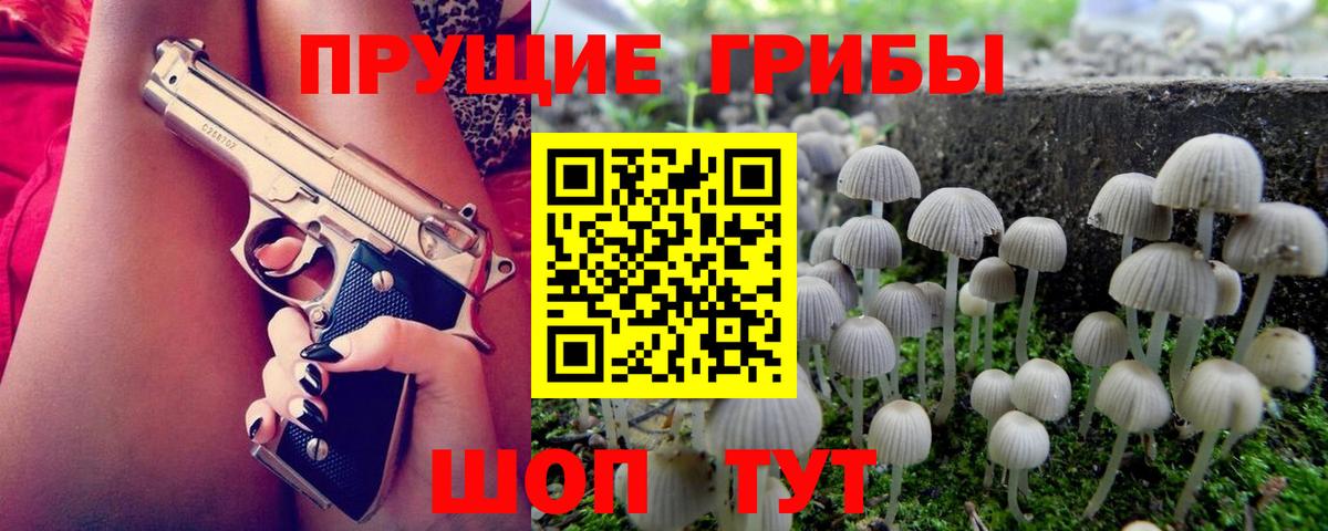 Галлюциногенные грибы Psilocybine cubensis  Вход с VPN  Тихорецк 