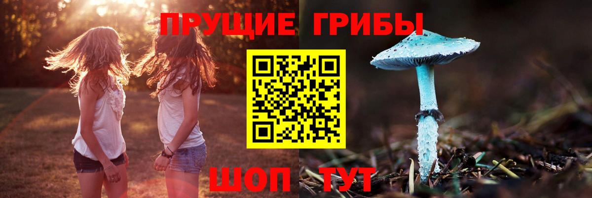 Псилоцибиновые грибы прущие грибы Тихорецк